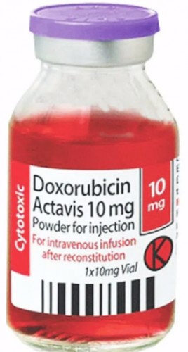 Купить доксорубицин 50 мг
